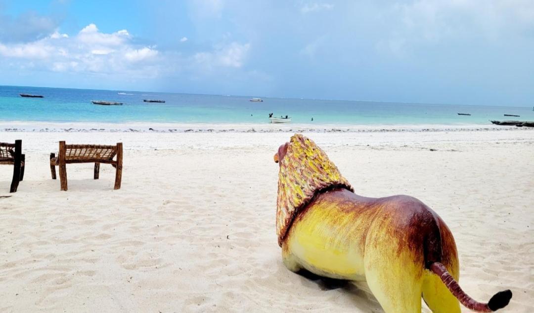 Sipano Beach Lodge Kiwengwa 吉汶瓦 外观 照片