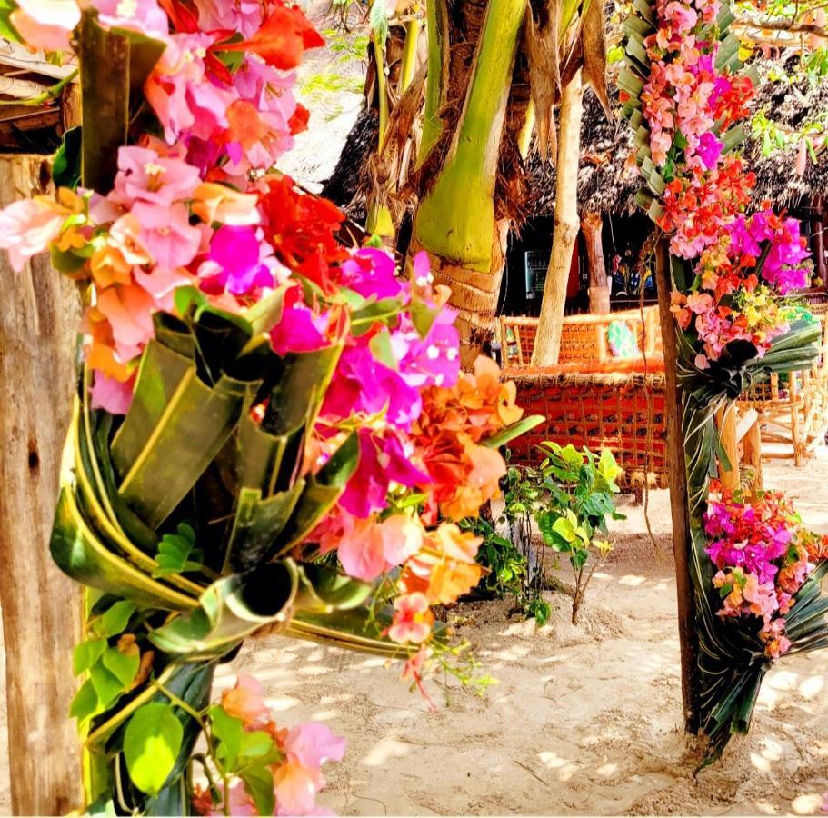 Sipano Beach Lodge Kiwengwa 吉汶瓦 外观 照片