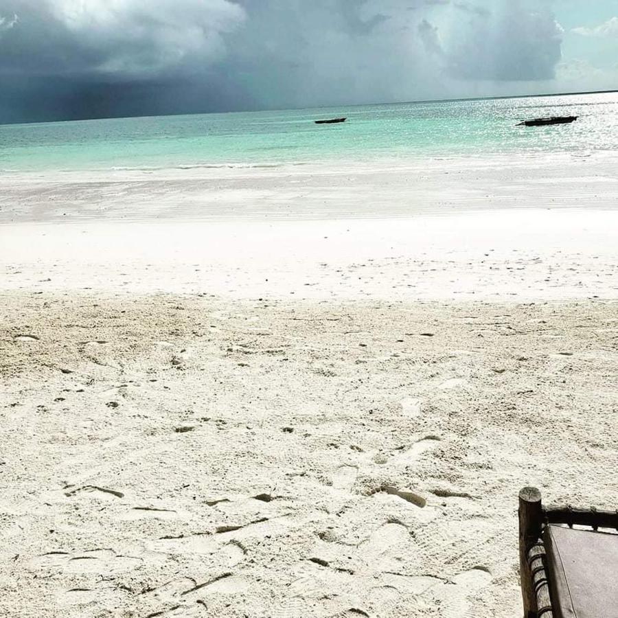 Sipano Beach Lodge Kiwengwa 吉汶瓦 外观 照片
