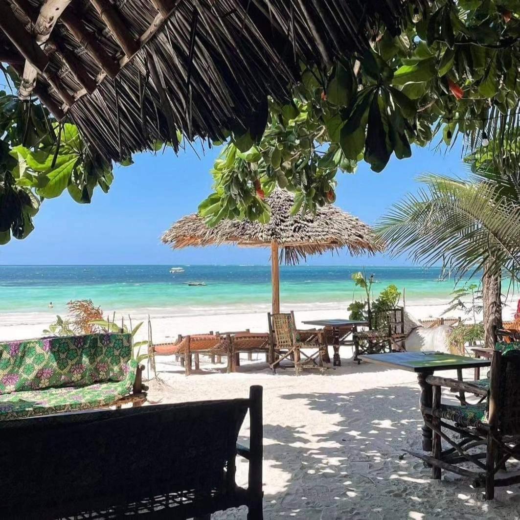 Sipano Beach Lodge Kiwengwa 吉汶瓦 外观 照片