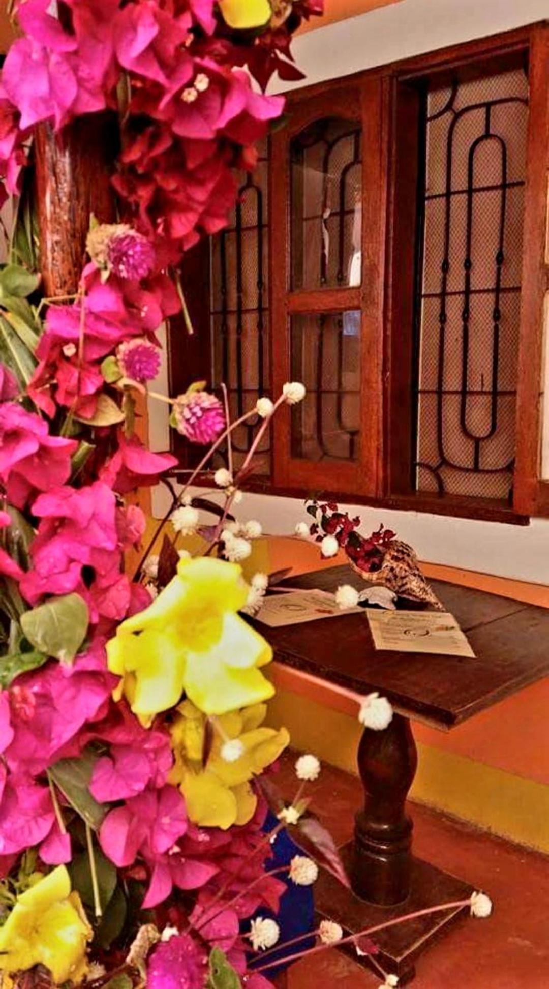 Sipano Beach Lodge Kiwengwa 吉汶瓦 外观 照片