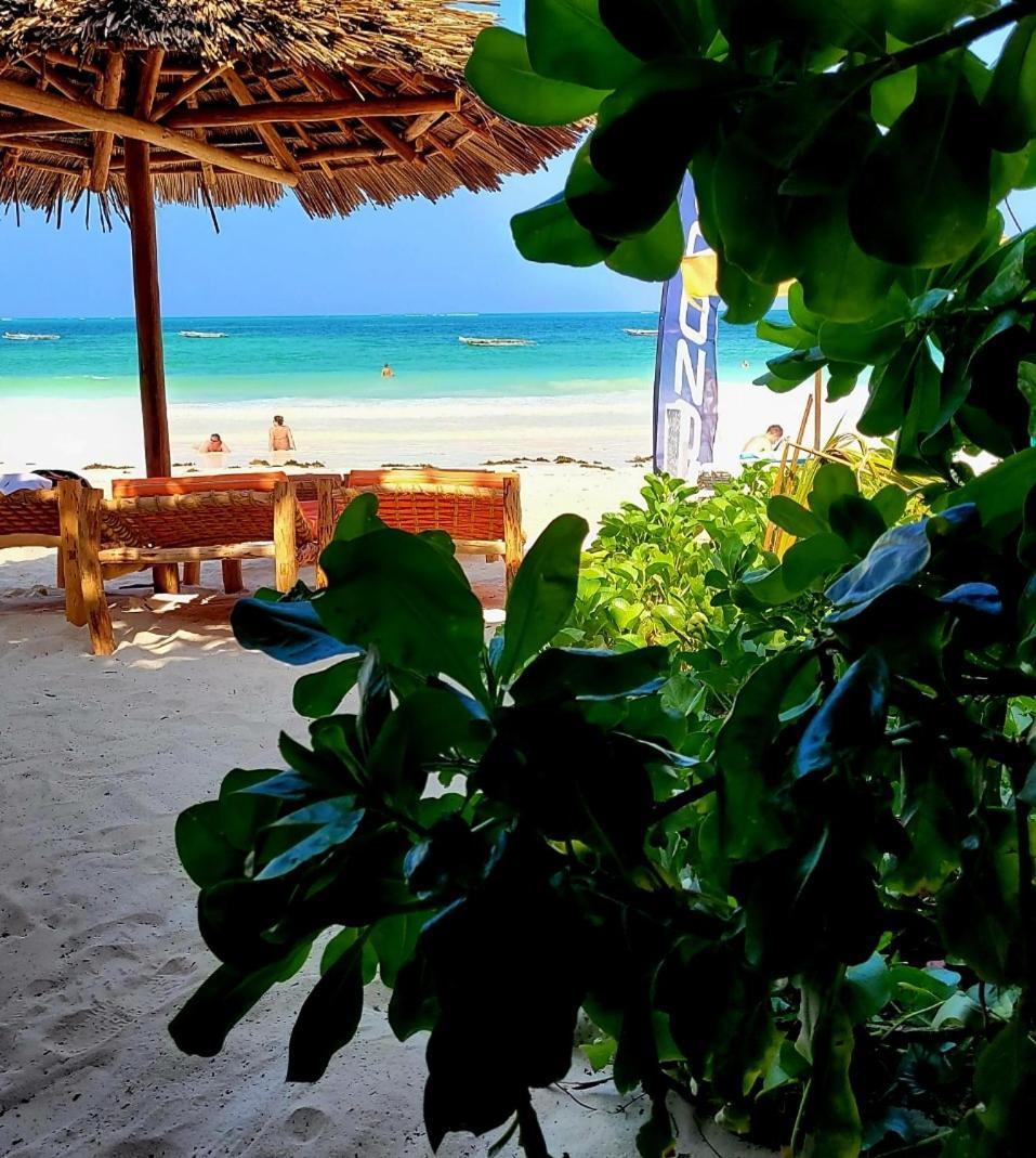 Sipano Beach Lodge Kiwengwa 吉汶瓦 外观 照片