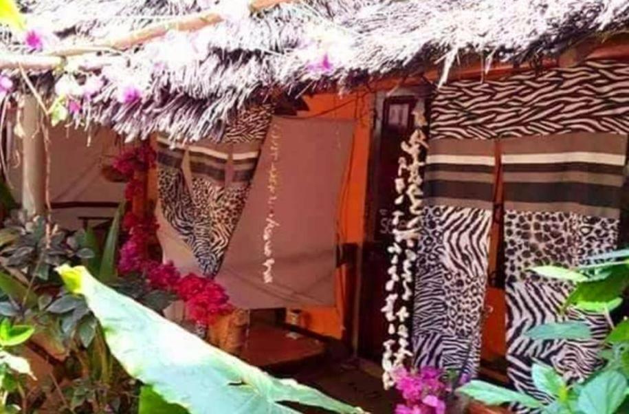Sipano Beach Lodge Kiwengwa 吉汶瓦 外观 照片