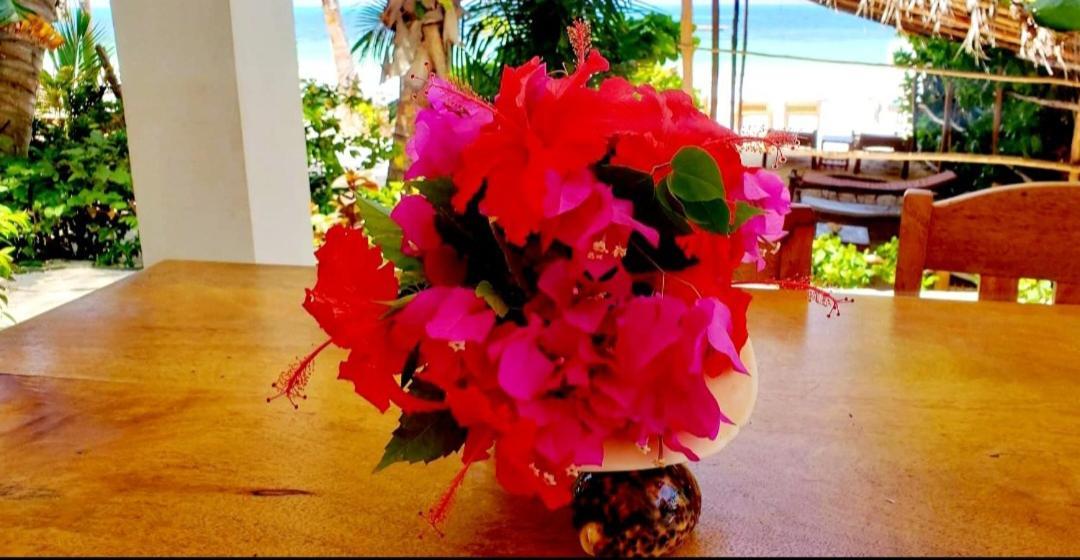 Sipano Beach Lodge Kiwengwa 吉汶瓦 外观 照片