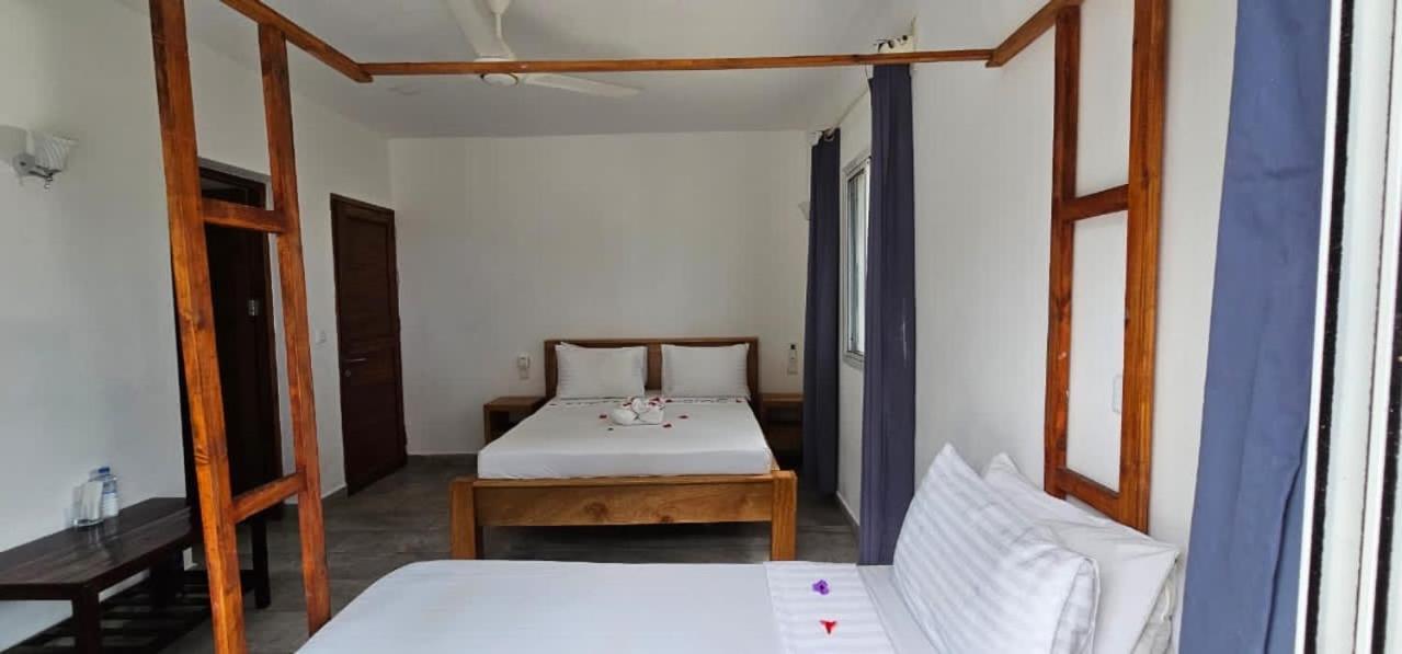 Sipano Beach Lodge Kiwengwa 吉汶瓦 外观 照片