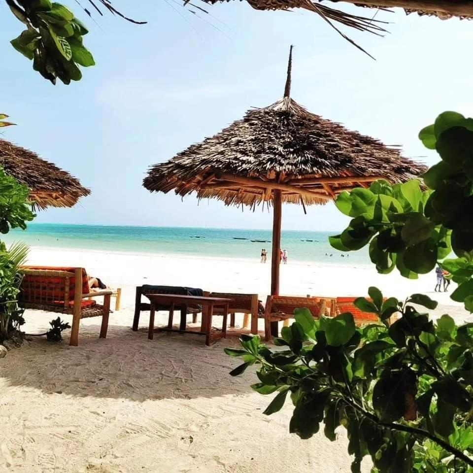 Sipano Beach Lodge Kiwengwa 吉汶瓦 外观 照片