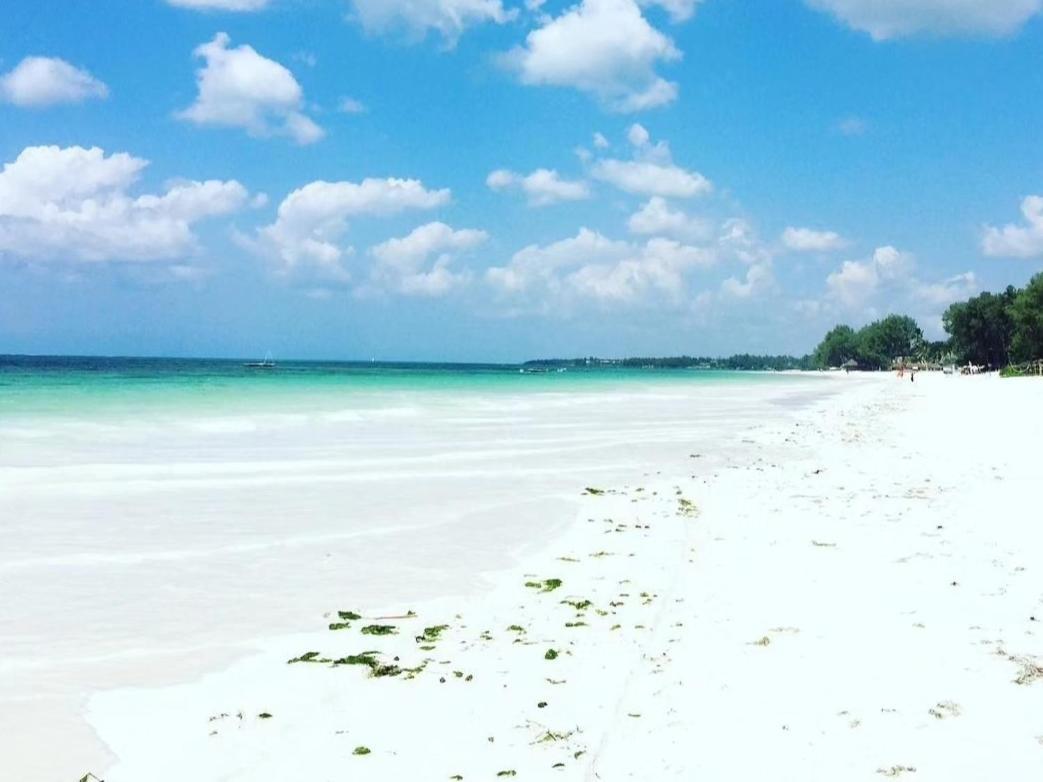 Sipano Beach Lodge Kiwengwa 吉汶瓦 外观 照片