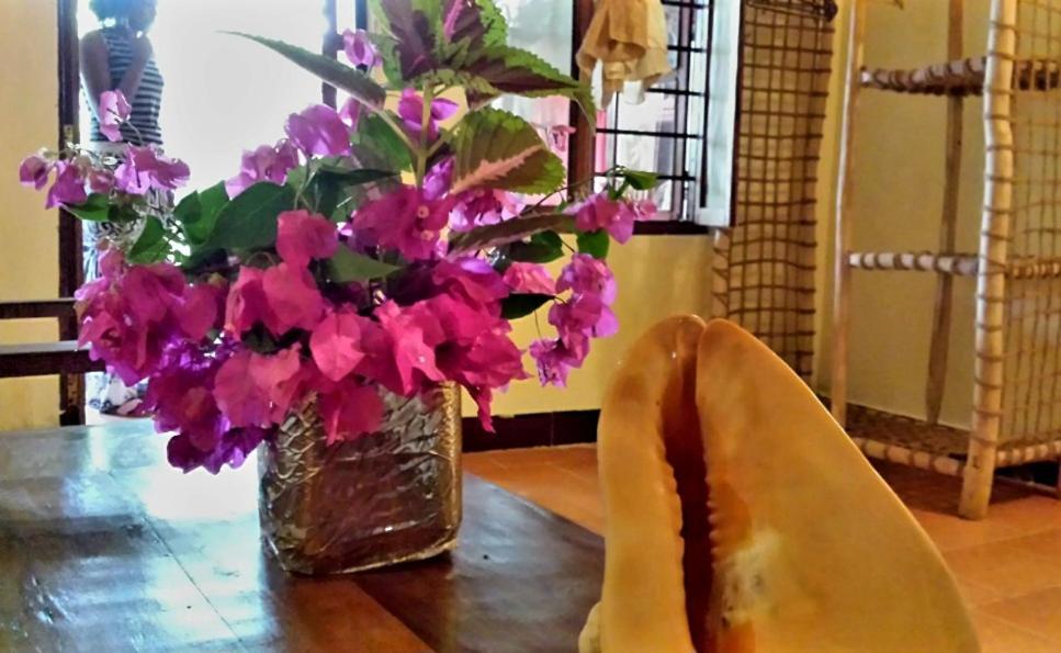 Sipano Beach Lodge Kiwengwa 吉汶瓦 客房 照片